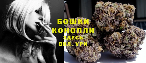 ГАЛЛЮЦИНОГЕННЫЕ ГРИБЫ Балабаново