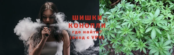ГАЛЛЮЦИНОГЕННЫЕ ГРИБЫ Балабаново