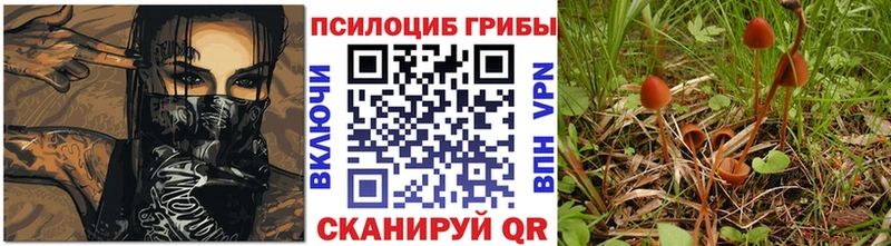 купить наркотики цена  Малоярославец  Псилоцибиновые грибы Psilocybine cubensis 